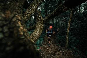 BIB: 
                            <button type="button" onclick="openModal(25694857)" class="btn btn-primary btn-sm float-right btn-popup" data-toggle="modal" data-target=".modal-high-quality">
                        <i class="fas fa-shopping-cart"></i> Add to Cart
                    </button>
                                            <button type="button" onclick="isThisMe(25694857, true)" class="btn btn-success btn-sm float-right btn-popup btn-isme hidden" data-toggle="tooltip" data-placement="bottom" title="นี่คือรูปของคุณใช่ไหม คลิกที่นี่เพื่อเอาเข้าอัลบั้ม">
                        <i class="fas fa-plus"></i> Add to album
                    </button>
                    <button type="button" onclick="isThisMe(25694857, false)" class="btn btn-warning btn-sm float-right btn-popup btn-isnotme hidden">
                        <i class="fas fa-ban"></i> Remove from album
                    </button>